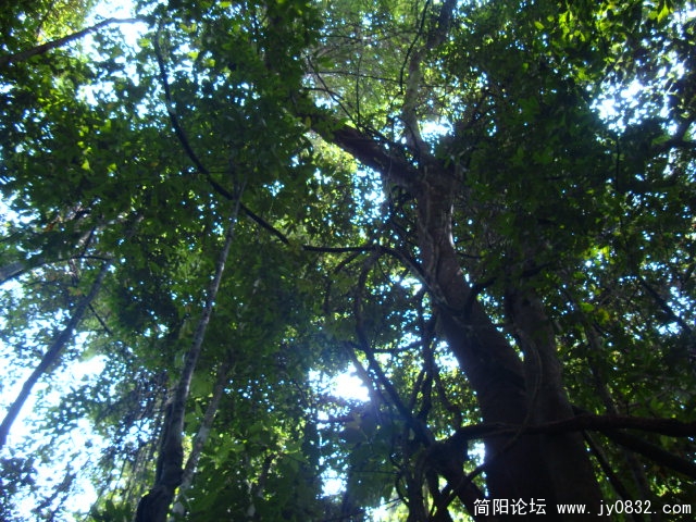 DSC02305.JPG