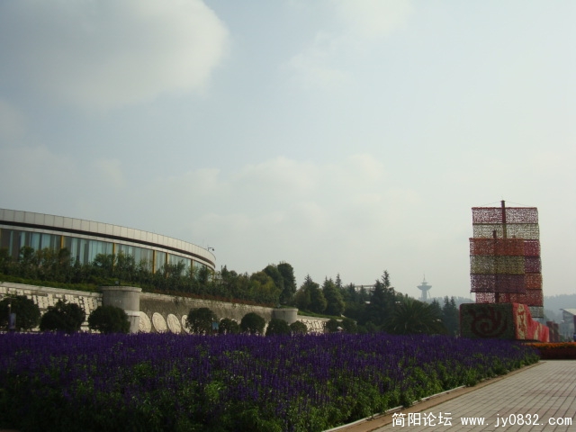 鲜花大道2