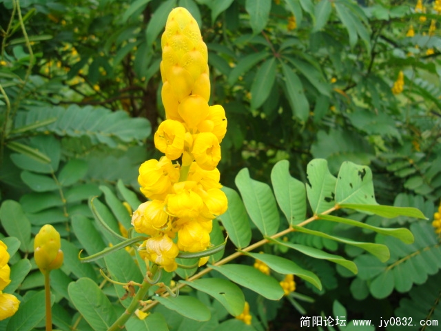 DSC02428.JPG