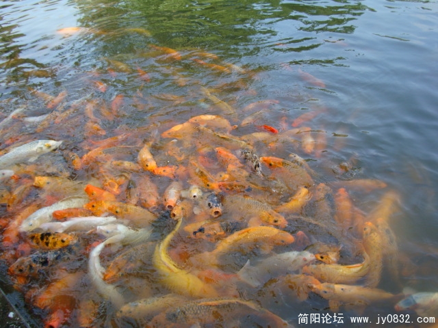 偶饿了，快喂我哟
