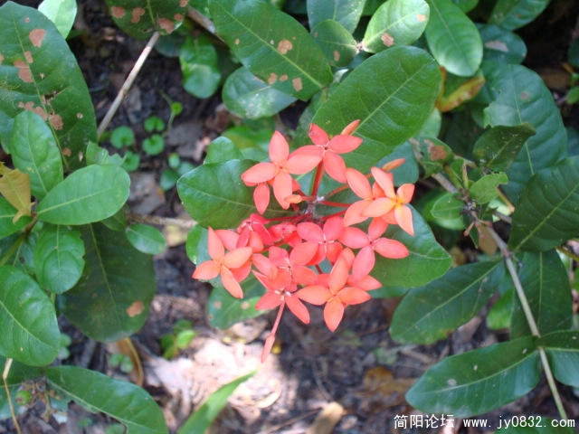 DSC02543.JPG