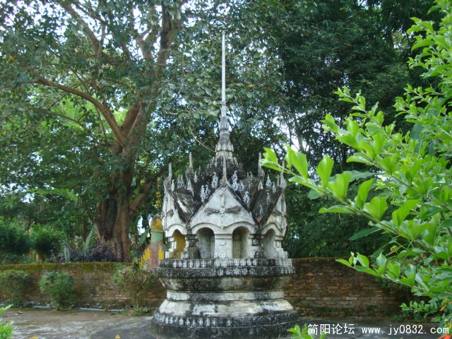 DSC02631.JPG