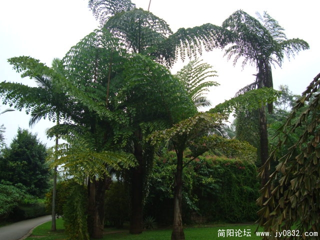 满幽静的