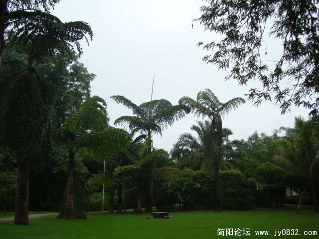 我们走的后门进入