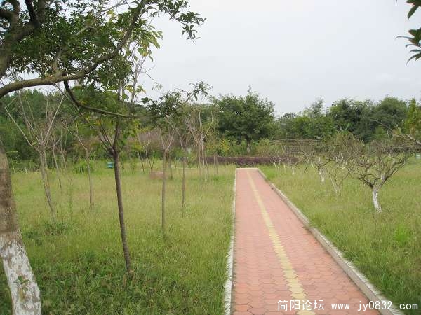 藏宝地点3.jpg