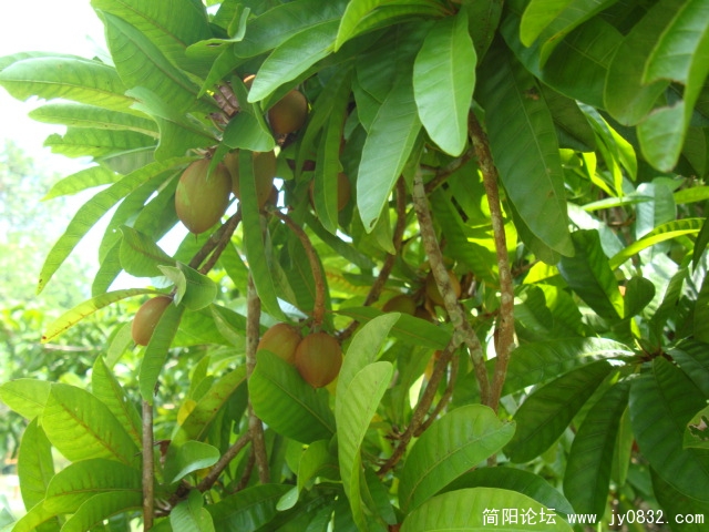 没找到这东东的标签