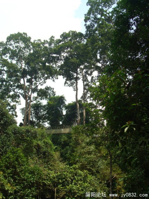 DSC02326.JPG