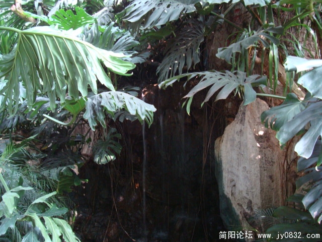 也是温室里的东东