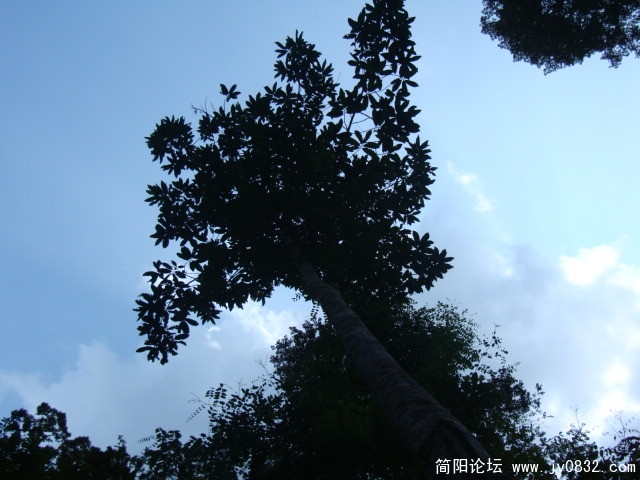 隐隐有雷声传来好象要下雨，天色也暗下来