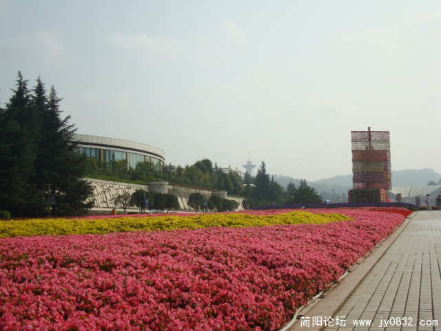 鲜花大道