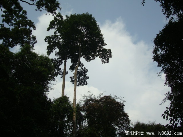 池畔的天空