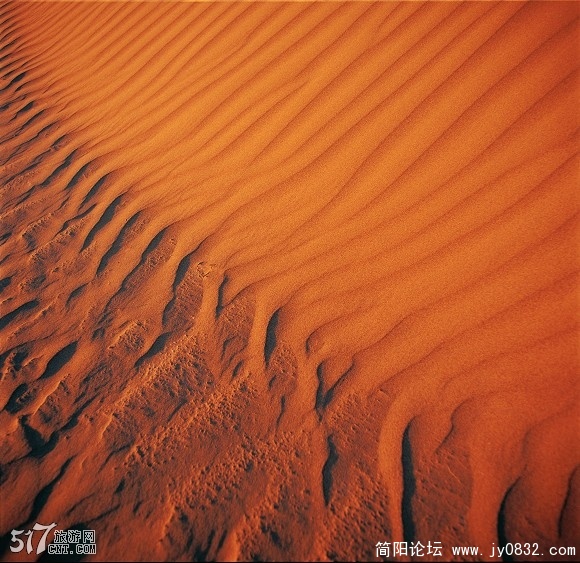 20080901_2cb45e8a5a716d6e5d1dHozbYjp0113t.jpg