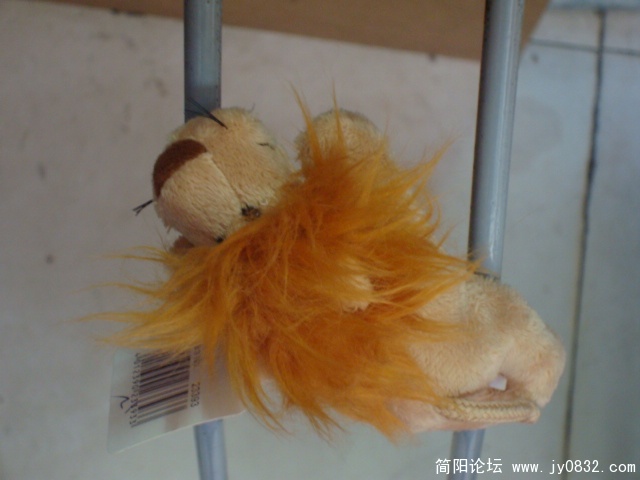 DSC02887.JPG