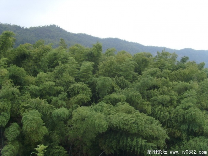 S73R1947.jpg