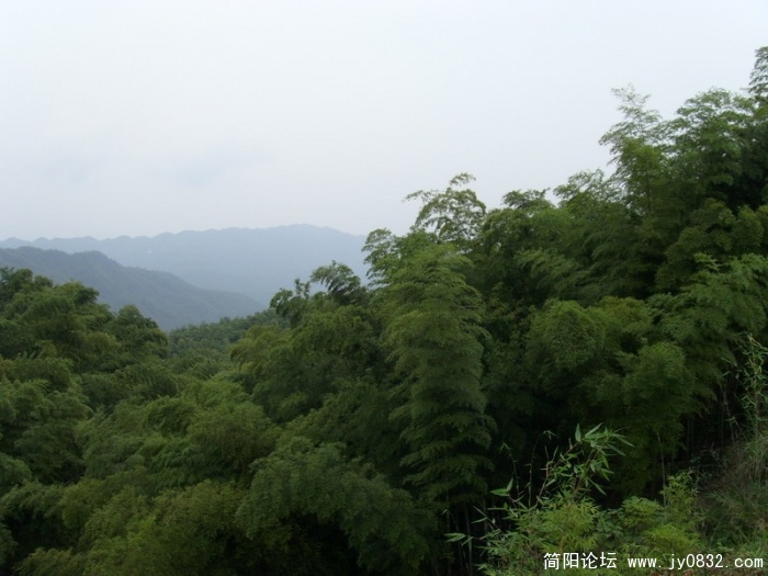 S73R1948.jpg
