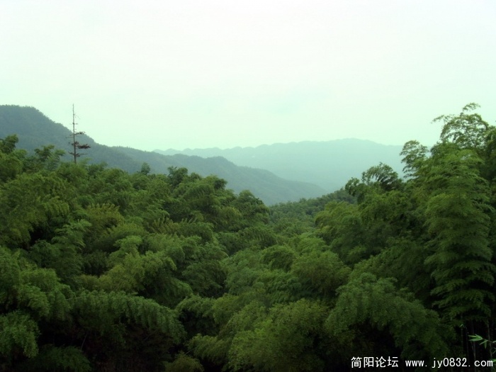 S73R1946.jpg