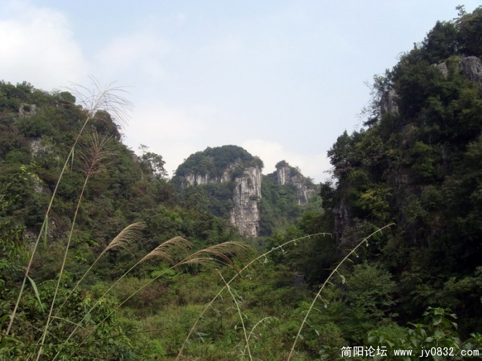 S73R2375.jpg