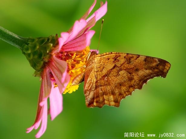 QQ截图未命名.jpg