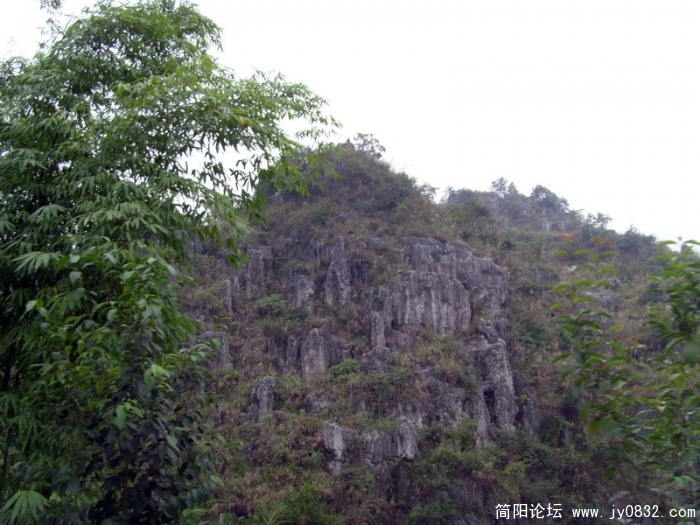 S73R2286.jpg