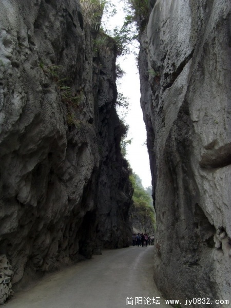 S73R2350.jpg