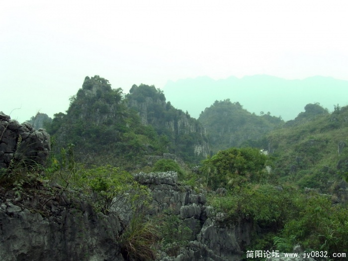 S73R2337.jpg