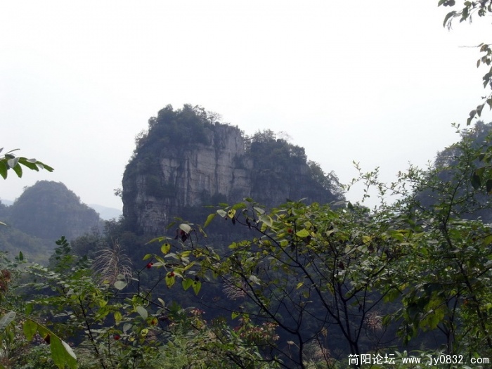 S73R2373.jpg