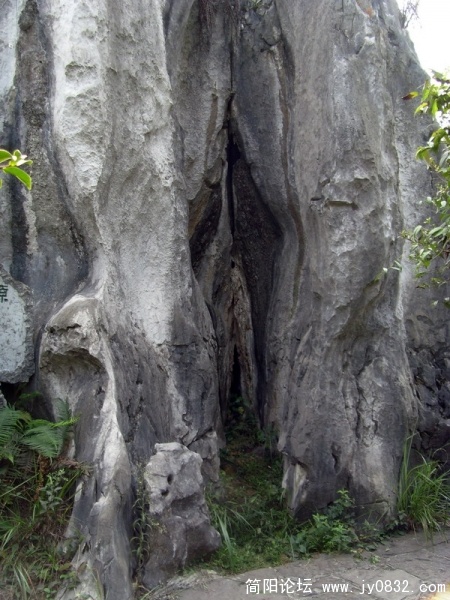 S73R2378.jpg