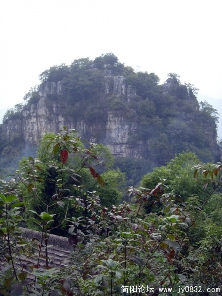 S73R2372.jpg