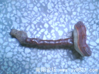 IMG0412A.jpg