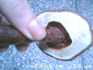 IMG0413A.jpg