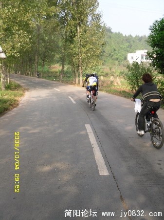 BigBull_SDC10069.JPG