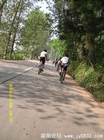 BigBull_SDC10075.JPG