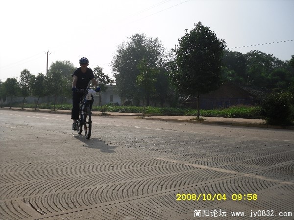 BigBull_SDC10079.JPG