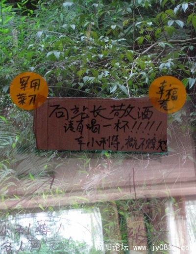照片 271.jpg
