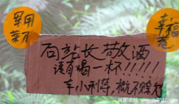 照片 264.jpg