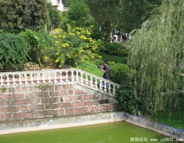 06.jpg
