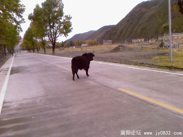 照片-0141.jpg