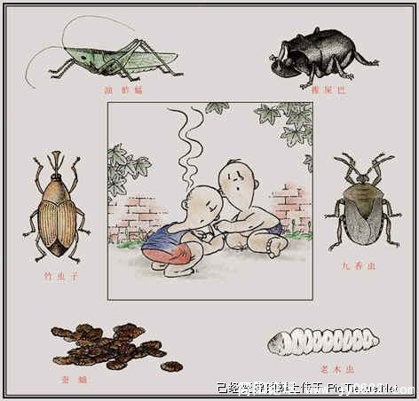 逮虫虫