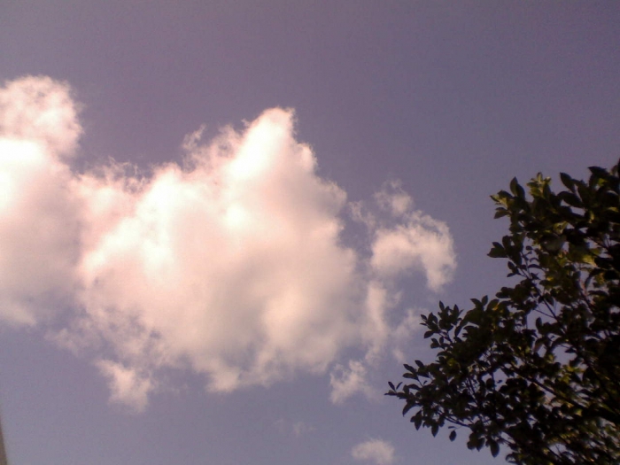 DSC_00769.jpg