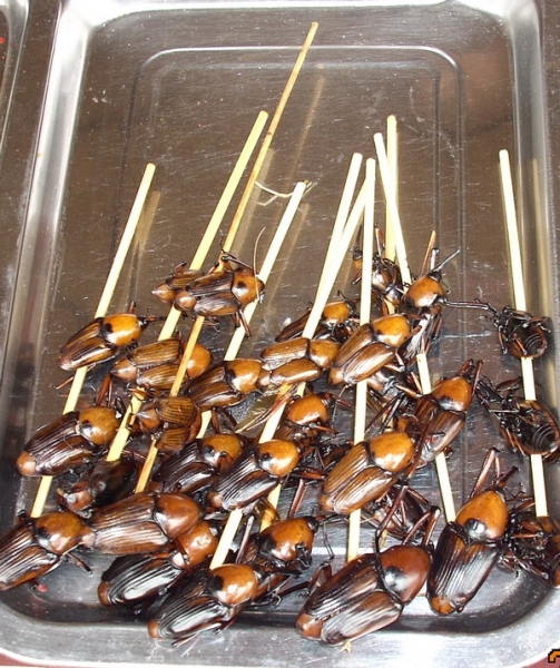 照片 098.jpg