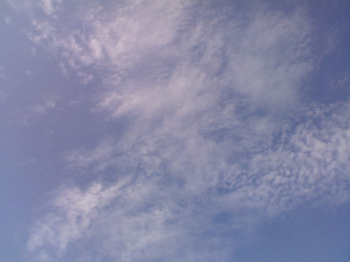DSC_00764.jpg