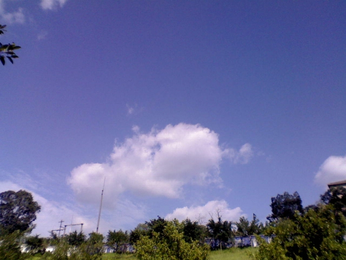 DSC_00770.jpg
