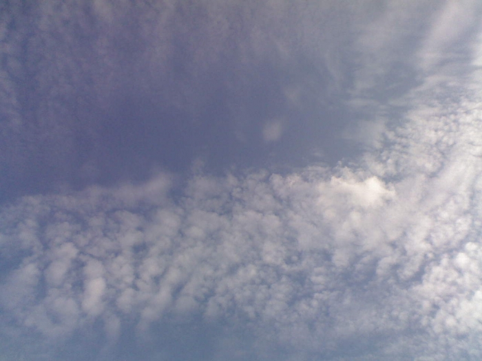DSC_00779.jpg