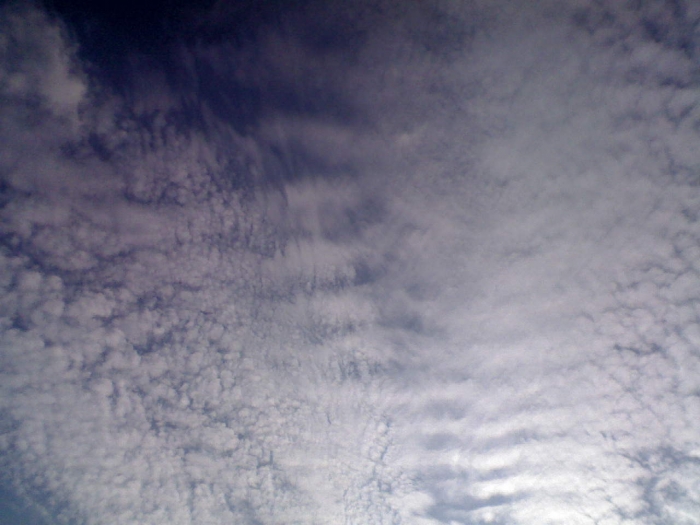 DSC_00778.jpg
