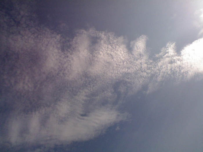 DSC_00774.jpg