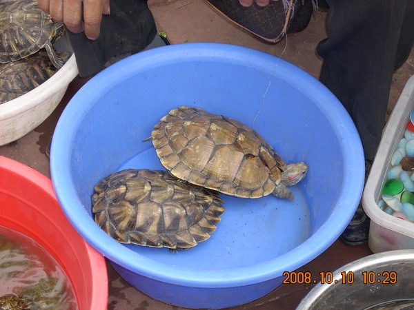 照片 048.jpg