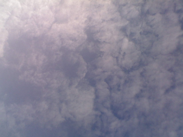 DSC_00787.jpg