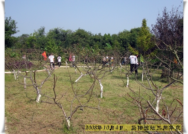 照片 203.jpg