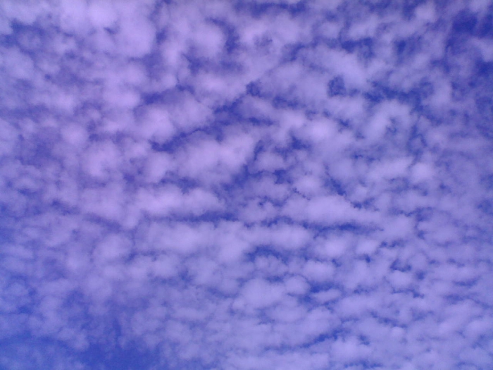 DSC_00781.jpg