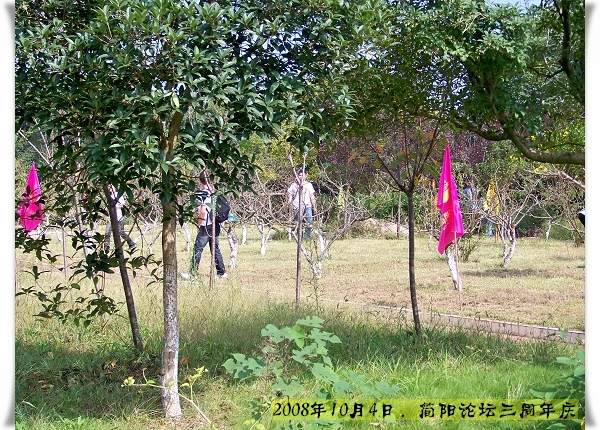100_1765.jpg